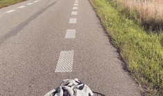 Lever du ud fra frygt?