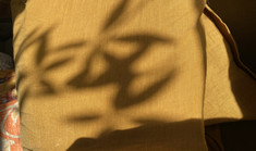 Erotisk fantasi -slip kontrollen 