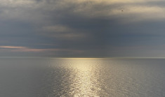 Når kroppen siger nej 