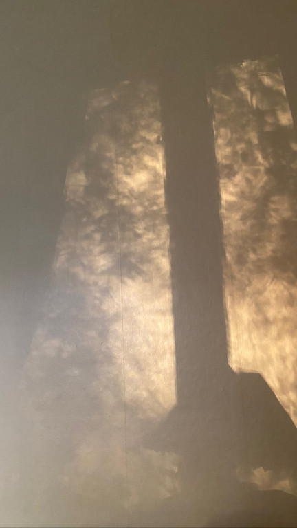 Lystforskelle i parforhold