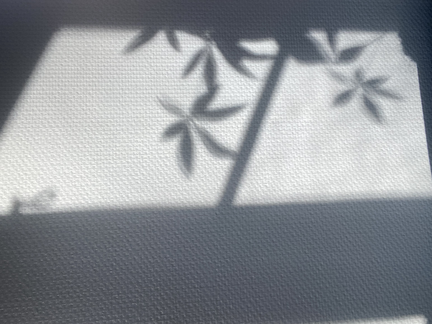 lyst, tryghed & spæniing